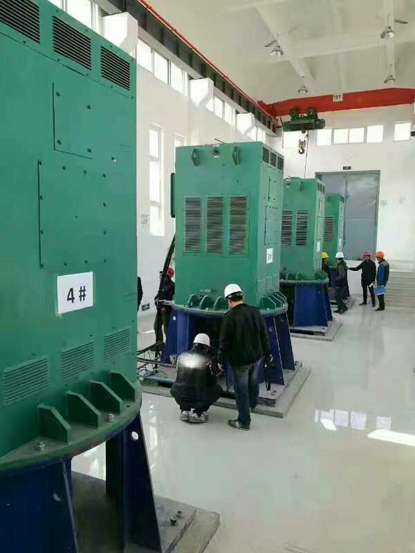 浙江某污水处理厂使用我厂的立式高压电机安装现场