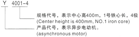 西安泰富西玛Y系列(H355-1000)高压浙江三相异步电机型号说明